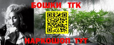 индика Славянск-на-Кубани