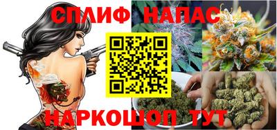 СК Сланцы