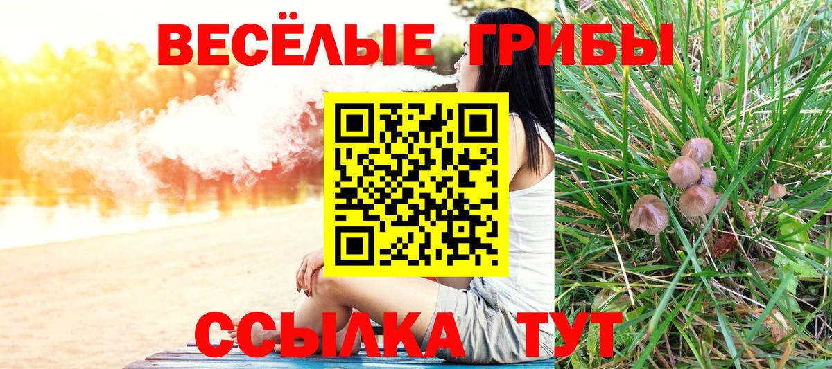 Псилоцибиновые грибы ЛСД Приморско-Ахтарск